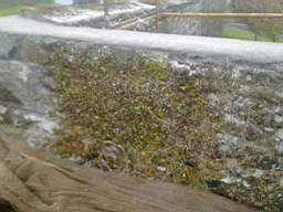 scarpwall-5330.jpg