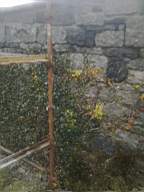 scarpwall-5340.jpg