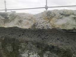 scarpwall-5380.jpg