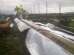 scarpwall-5410.jpg