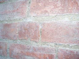 skerrysEarl-1582.jpg