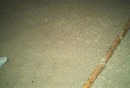 IM004445.jpg