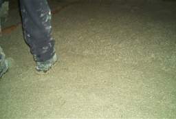 IM004446.jpg