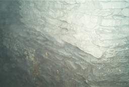 IM004452.jpg
