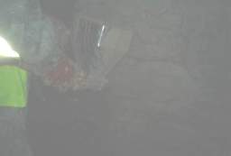 IM004456.jpg