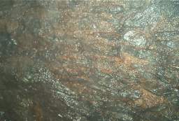 IM004459.jpg