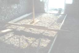 IM004474.jpg