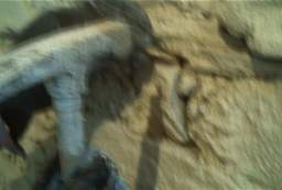 IM004493.jpg