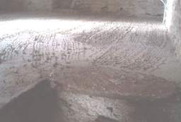 IM004520.jpg
