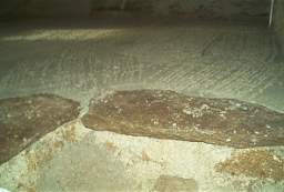 IM004521.jpg