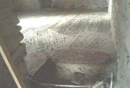 IM004523.jpg