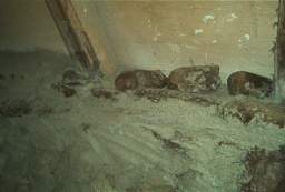 IM004540.jpg