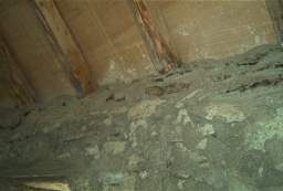 IM004544.jpg