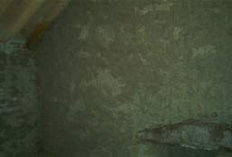 IM004546.jpg