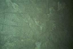IM004548.jpg