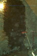 IM004600.jpg
