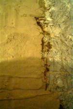 IM004603.jpg