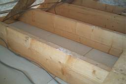 IM005080.JPG