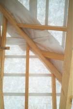 IM005259.JPG