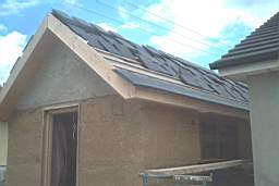 IM005439.JPG