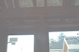 IM005441.JPG