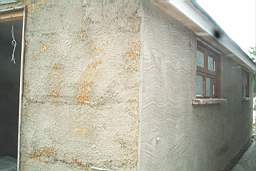 IM005533.JPG