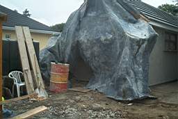 IM005580.JPG