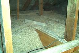 IM005587.JPG
