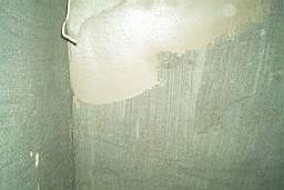 IM005589.JPG
