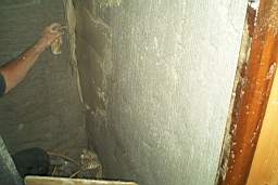 IM005590.JPG