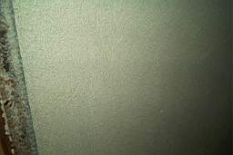 IM005590a.JPG