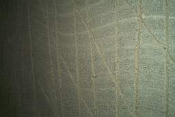 IM005591a.JPG