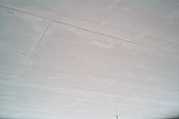 IM005607.JPG