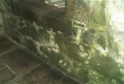 IM005941.JPG