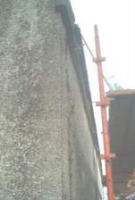 IM006238.JPG