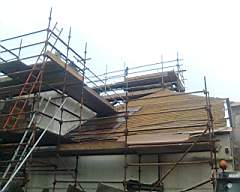 whitehall-1325.jpg