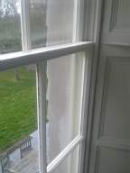 whitehall-3670.jpg