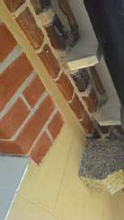 brickworksamples-3070.jpg